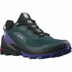 Salomon CROSS OVER GTX W Női túracipő, fekete, méret 39 1/3