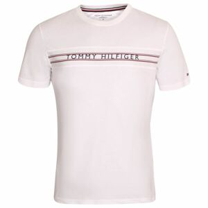 Tommy Hilfiger CLASSIC-CN SS TEE PRINT Férfi póló, fehér, méret