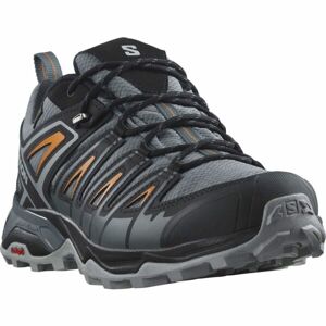 Salomon X ULTRA PIONEER GTX Férfi túracipő, szürke, méret 44 2/3