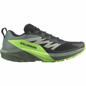 Salomon SENSE RIDE 5 Férfi túracipő, fekete, méret 42 2/3