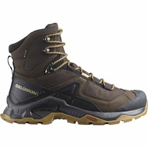 Salomon QUEST ELEMENT GTX Férfi bőr túracipő, barna, méret 45 1/3