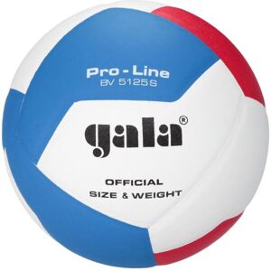GALA BV5125 PRO-LINE 12 Röplabda labda, fehér, méret